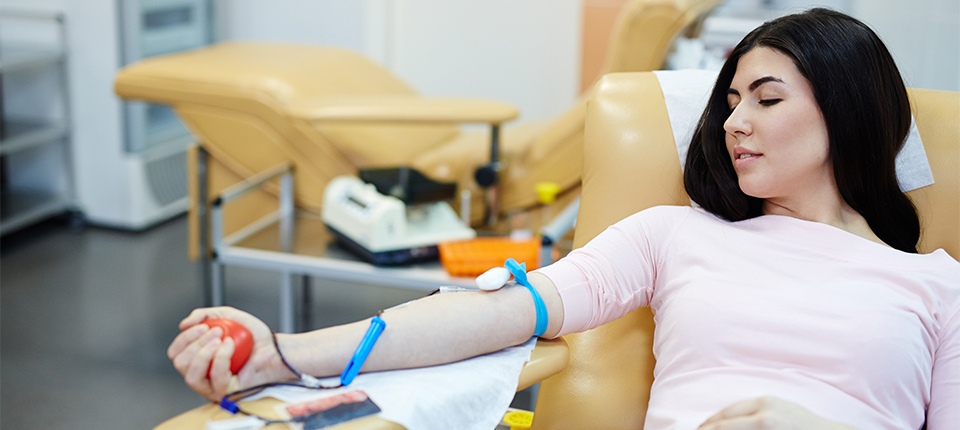 Breaking Down the Process of Blood Donation