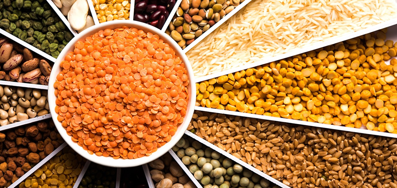 Indian Beans,Pulses,Lentils,Rice and Wheat grain in a white Sunburst or sun rays shape designer container , selective focus.
; Shutterstock ID 1103515916; PO: 123